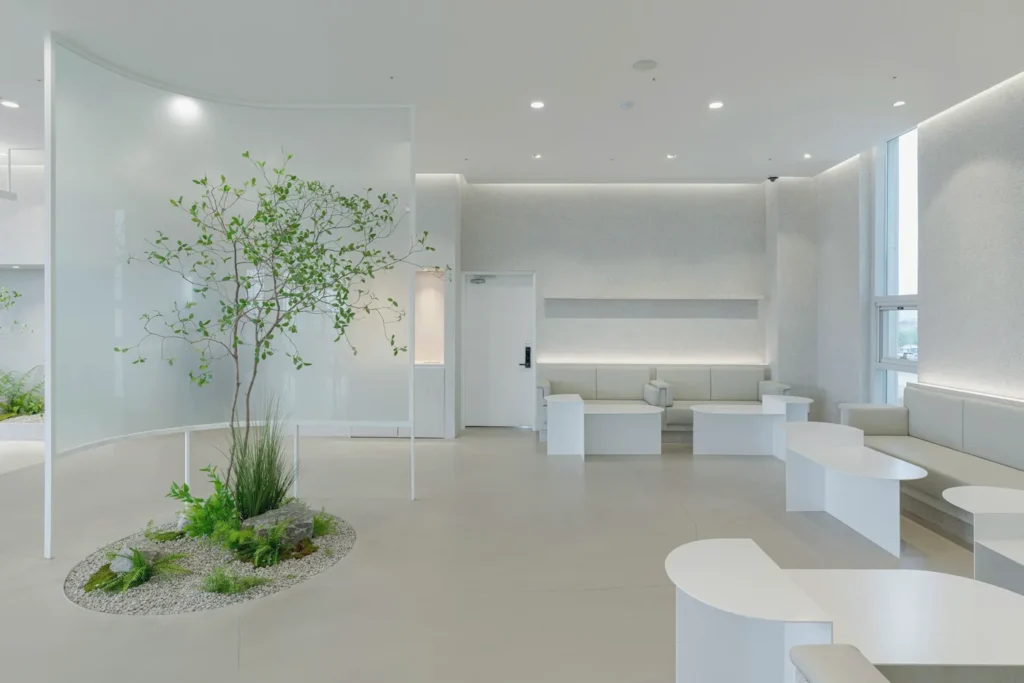Bright, minimalist clinic interior with an indoor tree